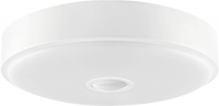 Умный потолочный светильник Yeelight LED Ceiling Lamp 250 mm Mini White (XD090W0CN)