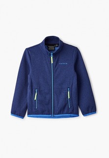 Олимпийка Icepeak 