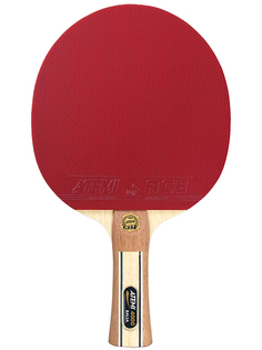 ATEMI PRO 5000 AN