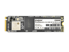 Твердотельный накопитель ExeGate SSD KC2000MNextPro+ 256Gb EX282321RUS