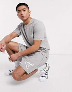 Серые спортивные шорты с логотипом Arcminute-Серый
