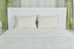 Одеяло Pure Silk Kariguz