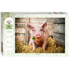 Мозаика "puzzle" 1000 "Символ удачи" Степ пазл