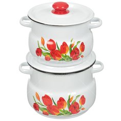 Набор эмалированной посуды Сибирские товары Тюльпаны 10 N10B78 (кастрюля 4+5.5 л), 2 предмета СтальЭмаль