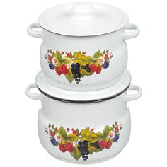 Набор эмалированной посуды СтальЭмаль Ягодный чай 10 N10B02 (кастрюля 4+5.5 л), 2 предмета