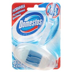 Подвеска для унитаза Domestos Атлантика, 40 г