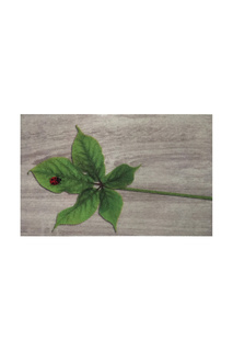 Придверный коврик 40x60 Giz Home