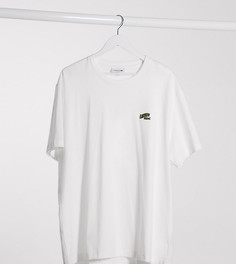 Белая футболка из хлопка пима с логотипом Lacoste-Белый