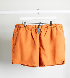 Оранжевые шорты для плавания с логотипом Farah Colbert-Оранжевый