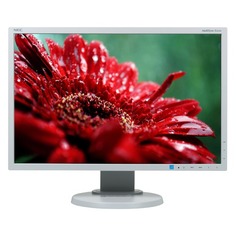Монитор NEC MultiSync E223W 22", серебристый и белый