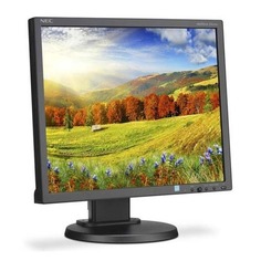 Монитор NEC MultiSync EA193Mi-BK 19", черный
