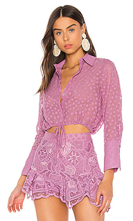 Топ kaja - Alexis