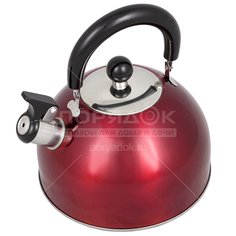 Чайник из нержавеющей стали Daniks MSY-021R красный со свистком, 3 л