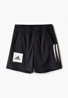Шорты спортивные adidas JB TR AERO SH