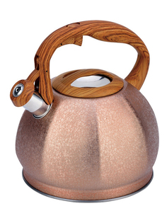 Чайник Winner 3L WR-5076