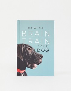 Книга "How to Brain Train Your Dog"-Мульти Allsorted