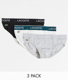 Набор из 3 трусов (черные/белые/серые) Lacoste-Многоцветный