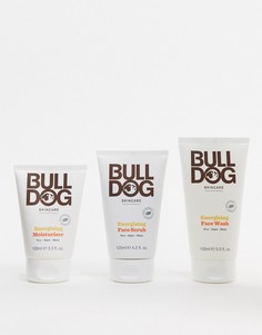 Набор тонизирующих средств по уходу за кожей Bulldog Energising-Бесцветный