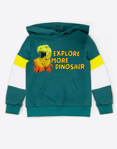 Худи колор-блок с динозавром для мальчика Gloria Jeans