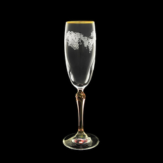 Набор бокалов для шампанского Rona Люция 6 шт 160 мл