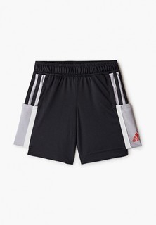 Шорты спортивные adidas B A.R. BOLD SHO