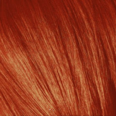 Schwarzkopf Professional, Игора Роял Краска для волос Igora Royal Шварцкопф (палитра 98 цветов), 60 мл 0-77 Медный микстон