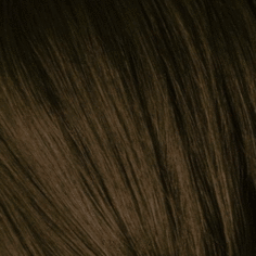 Schwarzkopf Professional, Краска для седых волос Igora Royal Absolutes Игора Роял Абсолют (палитра 24 цвета), 60 мл 4-60 Средний коричневый шоколадный натуральный