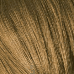 Schwarzkopf Professional, Игора Роял Краска для волос Igora Royal Шварцкопф (палитра 98 цветов), 60 мл 8-55 Светлый русый золотистый экстра
