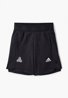 Шорты спортивные adidas JB T FD SH