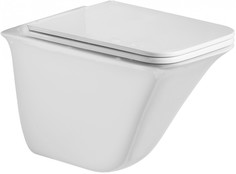 Подвесной безободковый унитаз с сиденьем микролифт WeltWasser Rotbach 004GL-WT