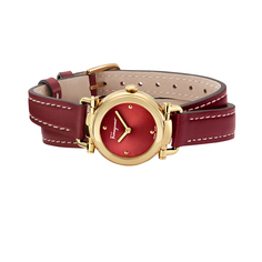 Наручные часы Salvatore Ferragamo Ferragamo Casual SFDC00418