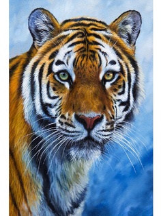 Картина по номерам Набор юного художника Molly Глаза тигра 20x30cm KH0873