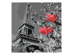 Картина по номерам Картина по номерам Котеин Париж в цвету 30x30cm KHM0038