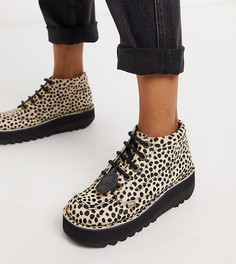 Низкие ботинки с леопардовым принтом эксклюзивно от Kickers Kick-Мульти