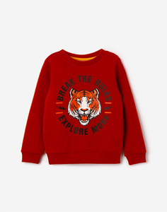Коричневый свитшот с тигром для мальчика Gloria Jeans