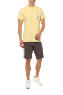 Шорты Quiksilver