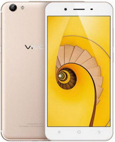 Смартфон vivo Y65 Gold