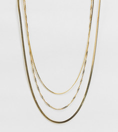 Ярусное ожерелье с покрытием из 14-каратного золота ASOS DESIGN Curve-Золотистый