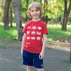 Шорты Bossa Nova