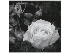 Картина по номерам Котеин Белая роза 30x30cm KHM0035