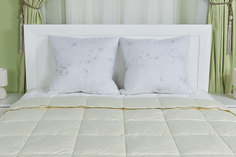 Одеяло Bio Down Kariguz