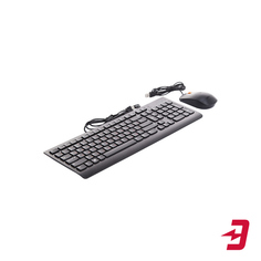 Комплект клавиатура + мышь Lenovo 300 USB Black (GX30M39635)