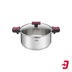 Кастрюля с крышкой Tefal Cook&Clip, 5 л (G7234674)