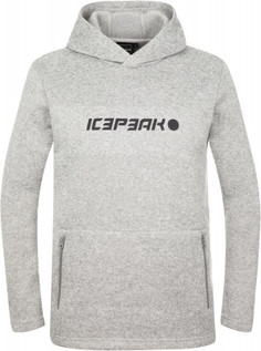 Худи мужская IcePeak Vologda, размер 50