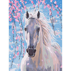 Картина по номерам Цветной "Белогривая лошадка"