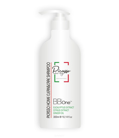 Domix, Шампунь Picasso Home Clean&Care Shampoo BB One