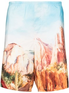 Palm Angels плавки-шорты с принтом Canyon