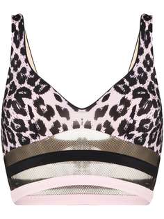 Agent Provocateur лиф бикини Zenaya