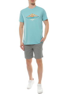 Шорты Quiksilver
