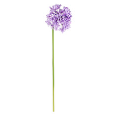 Цветок искусственный Dpi allium 92см лаванда